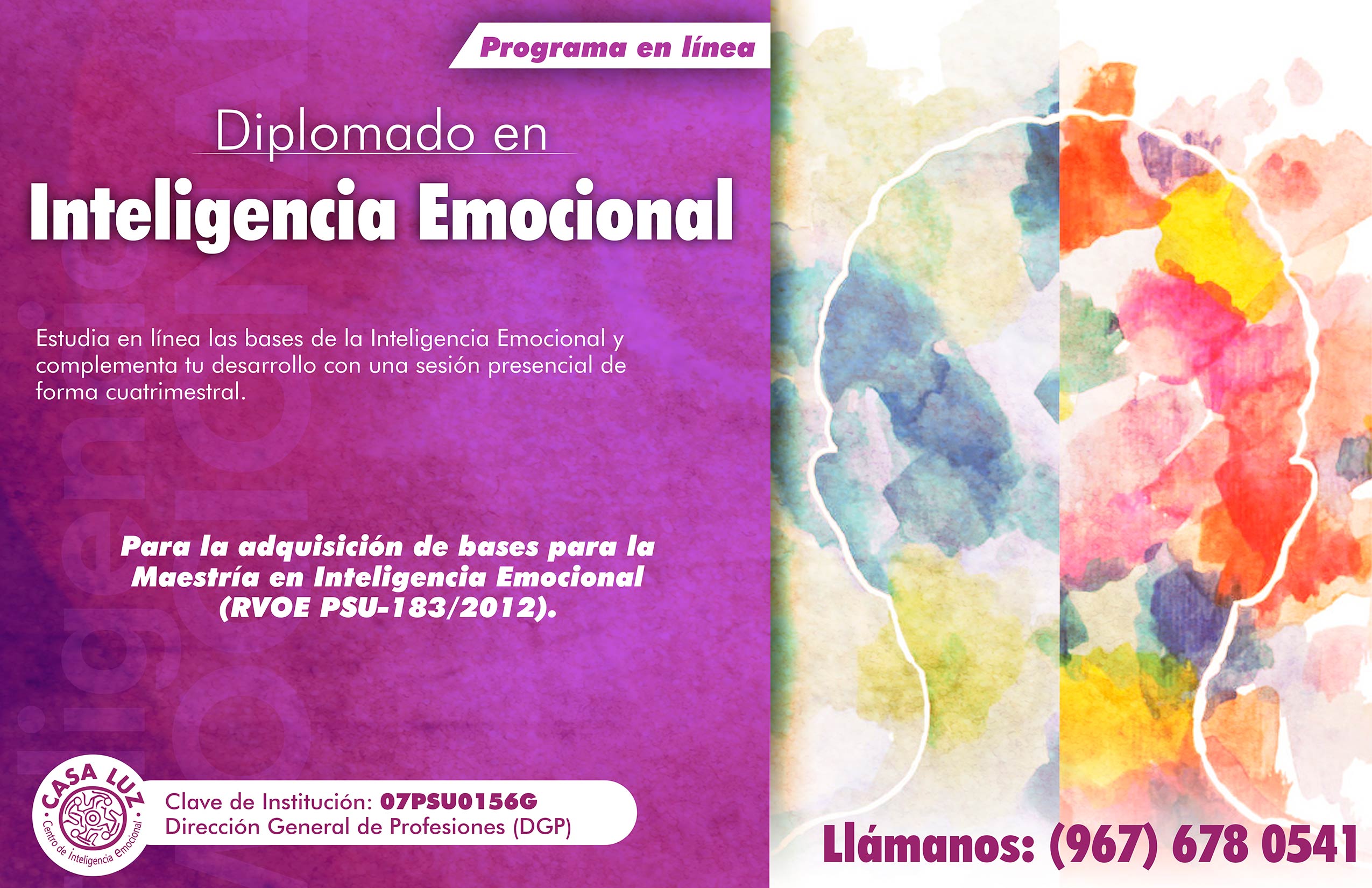 Diplomado en Inteligencia Emocional en Línea